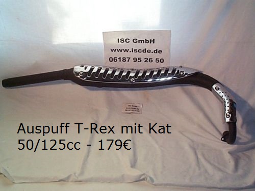 Auspuff T-Rex mit Kat 50 - 125 1