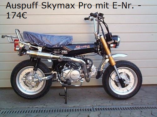 Skymax Auspuff Pro mit E-Nr. 1.1